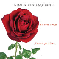fleur